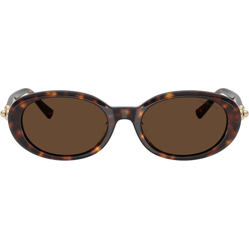 TF4242D, Havana/Brown Lenses