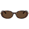 TF4242D, Havana/Brown Lenses