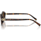 TF4242D, Havana/Brown Lenses