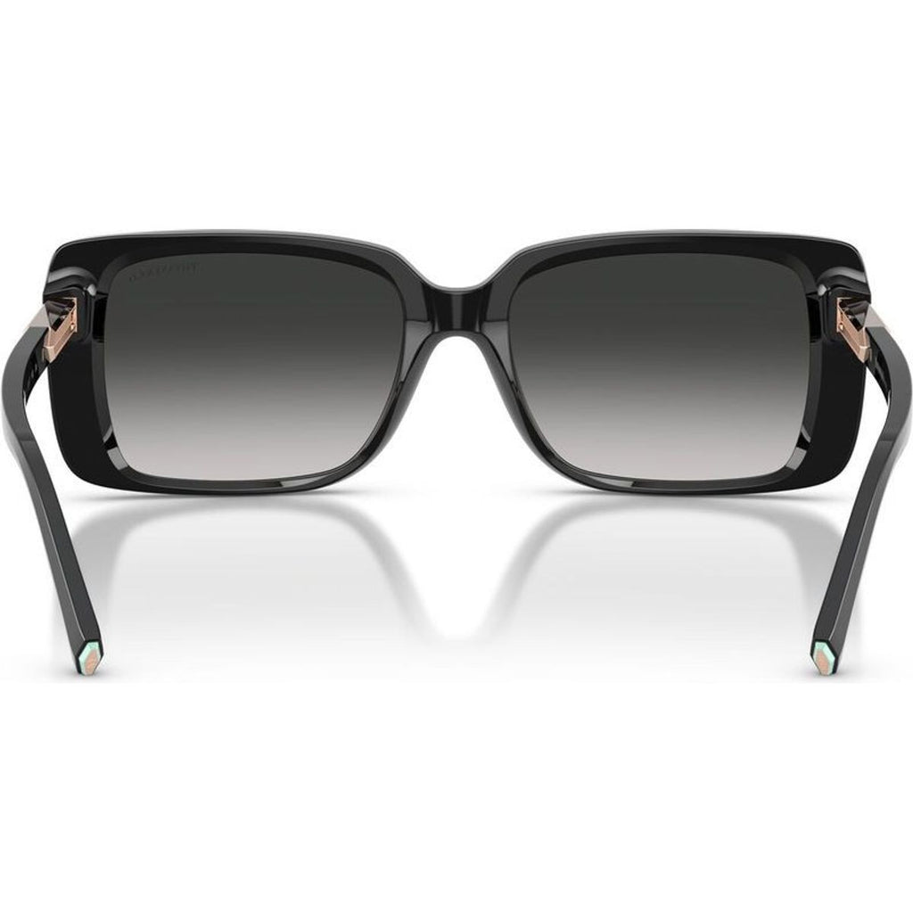 TF4249, Black/Grey Gradient Lenses