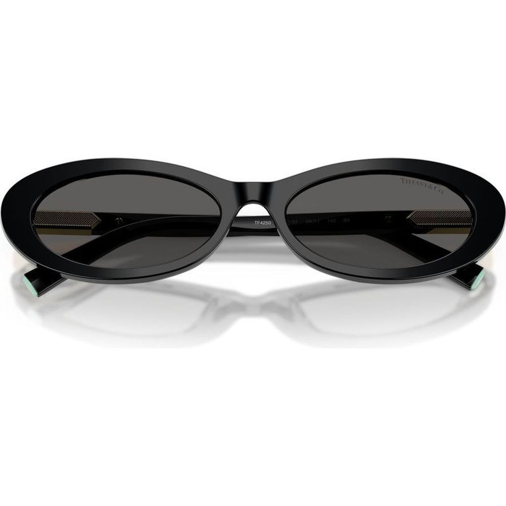 TF4250, Black/Dark Grey Lenses