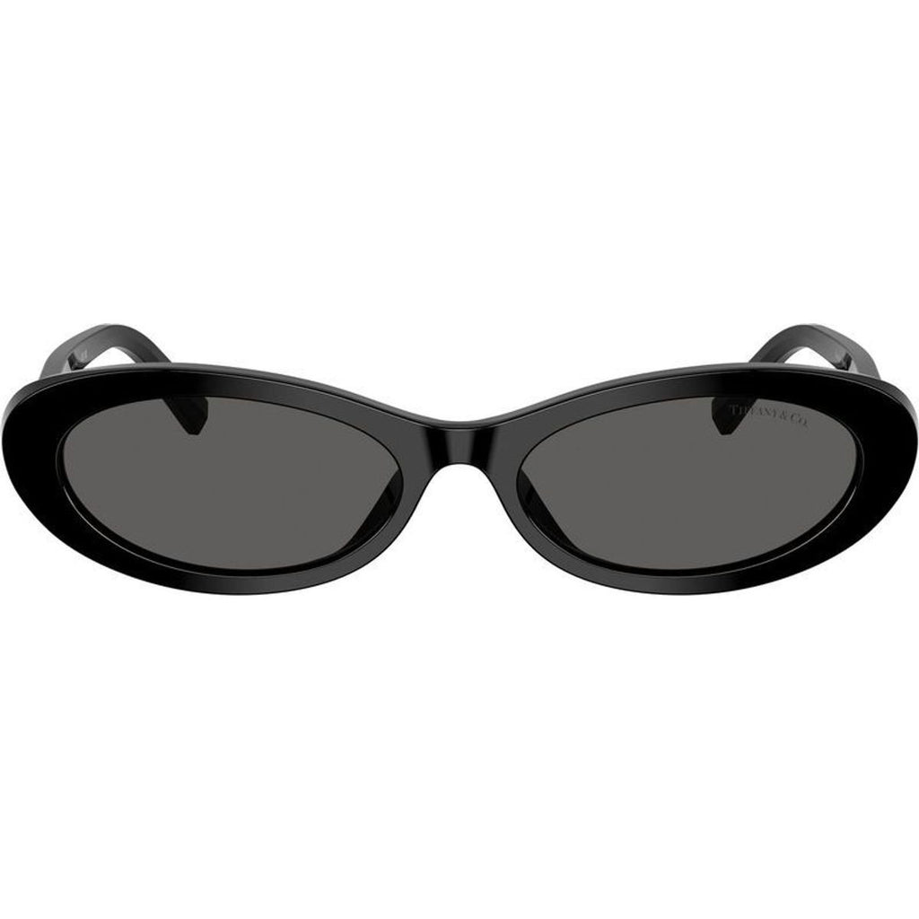 TF4250, Black/Dark Grey Lenses