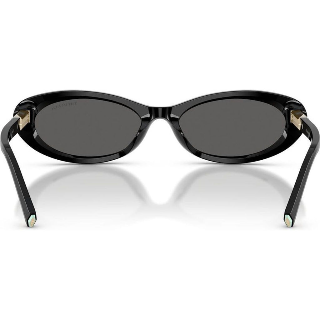 TF4250, Black/Dark Grey Lenses