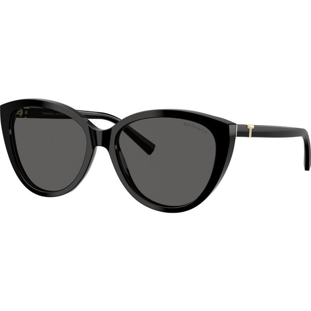 TF4251, Black/Dark Grey Lenses