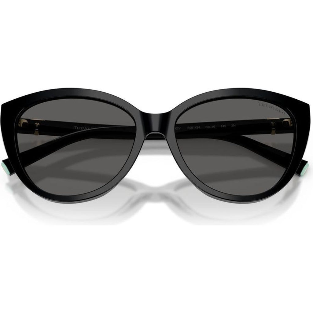 TF4251, Black/Dark Grey Lenses
