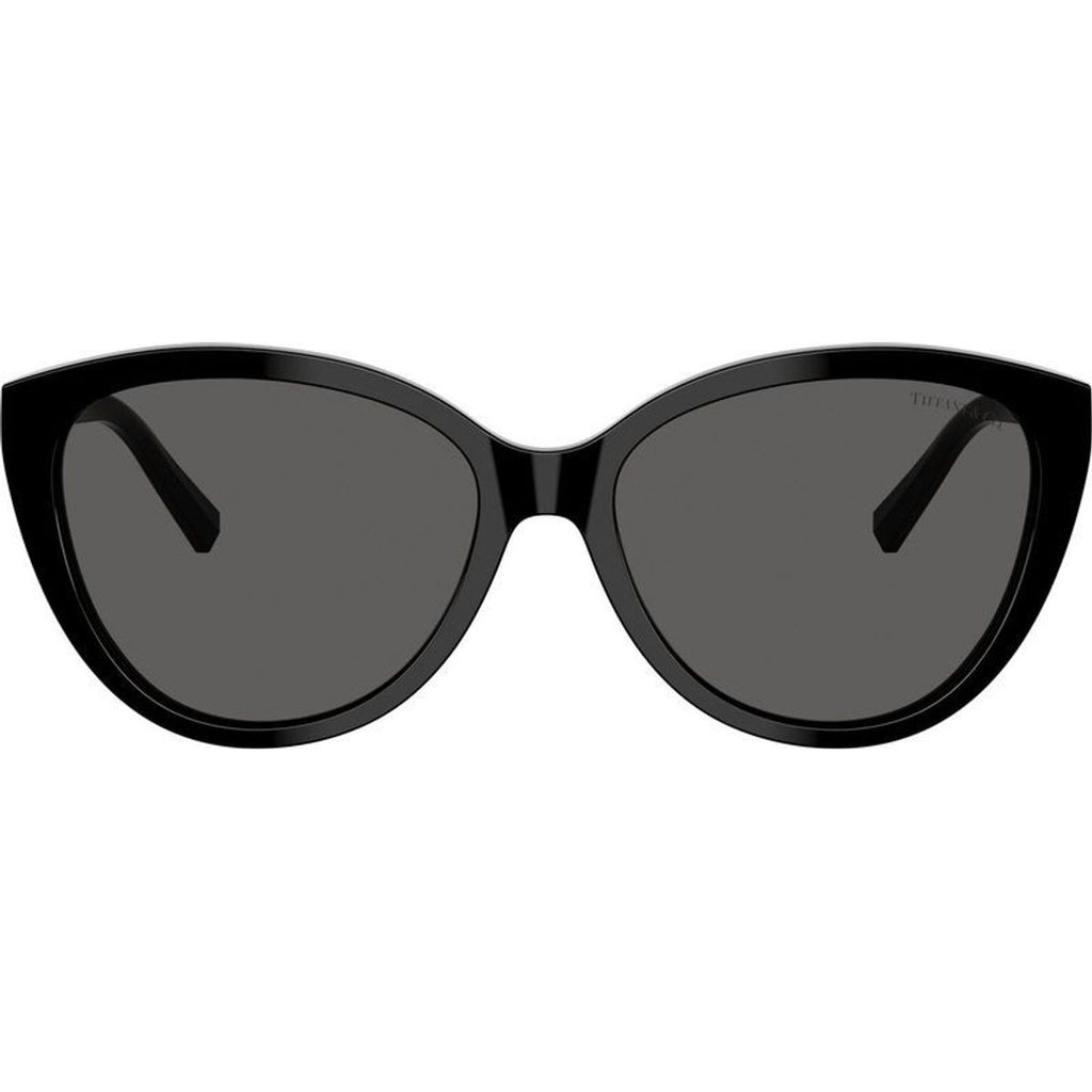 TF4251, Black/Dark Grey Lenses