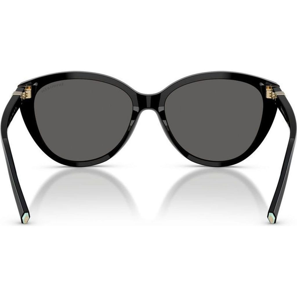 TF4251, Black/Dark Grey Lenses