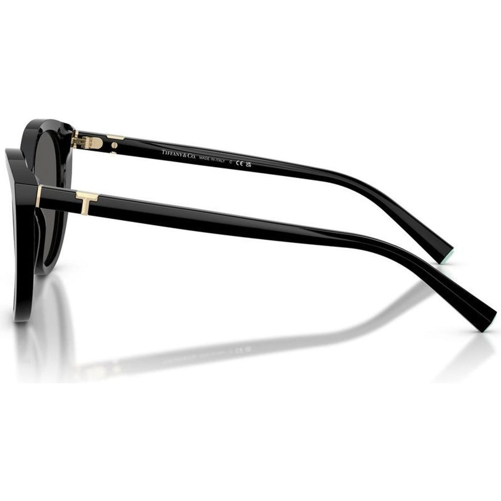 TF4251, Black/Dark Grey Lenses