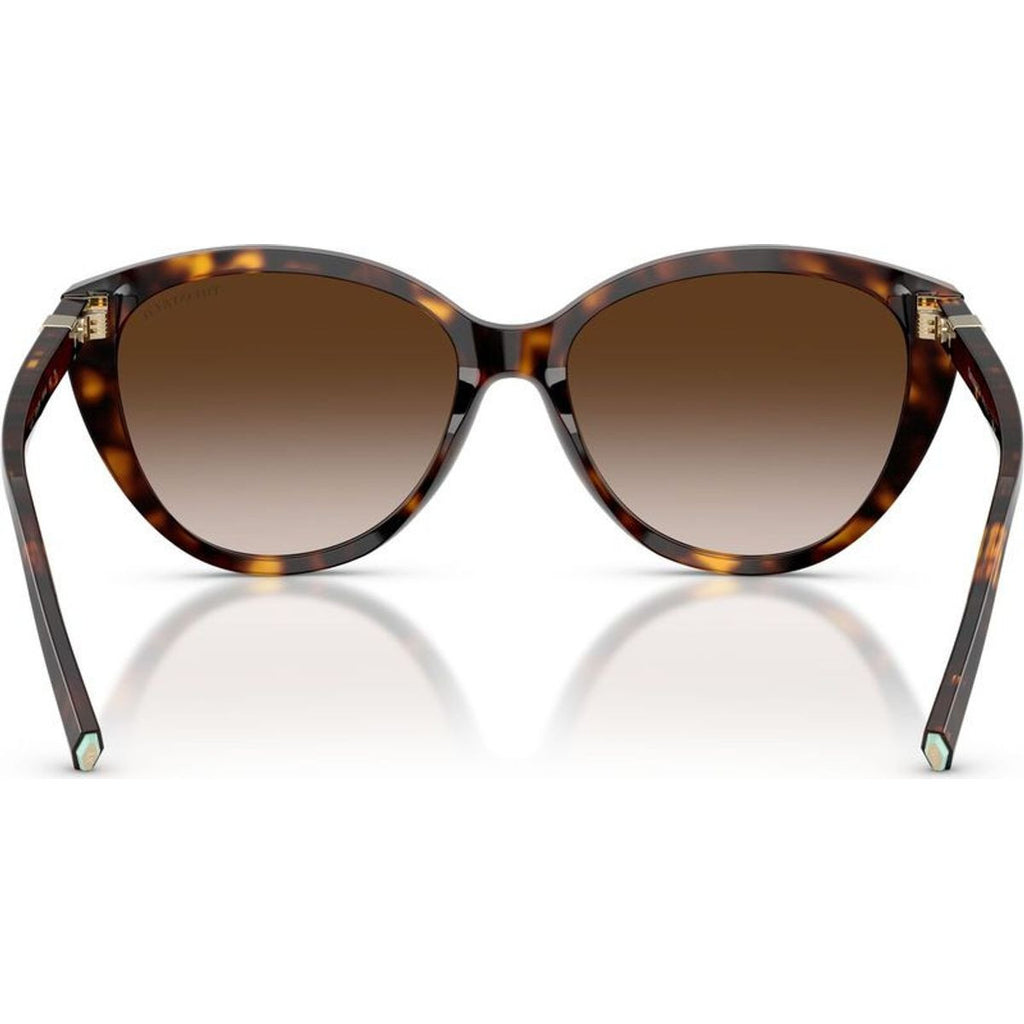 TF4251, Havana/Brown Gradient Lenses