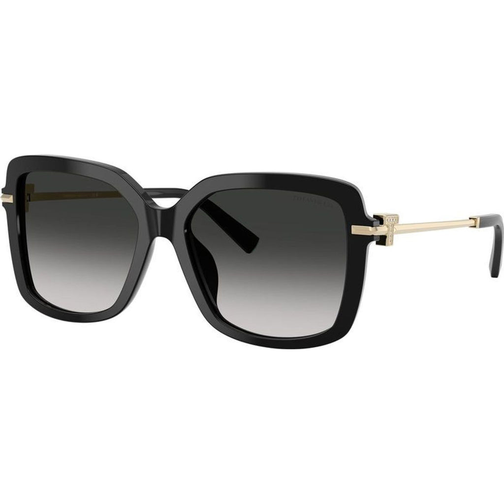 TF4252B, Black/Grey Gradient Lenses
