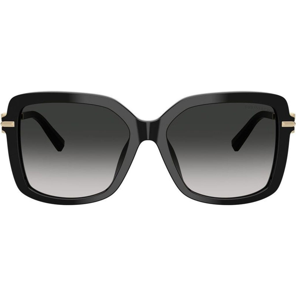 TF4252B, Black/Grey Gradient Lenses