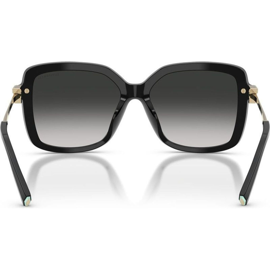 TF4252B, Black/Grey Gradient Lenses