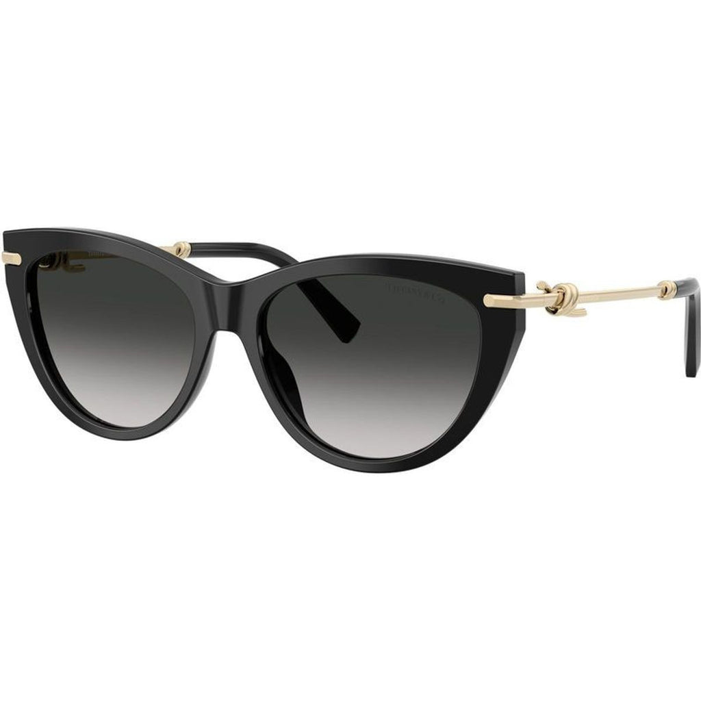 TF4253, Black/Grey Gradient Lenses