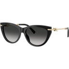 TF4253, Black/Grey Gradient Lenses