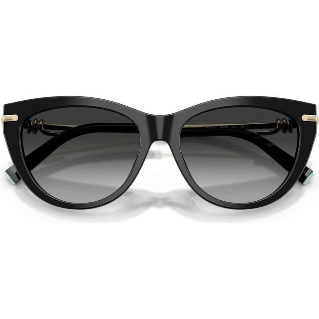 TF4253, Black/Grey Gradient Lenses