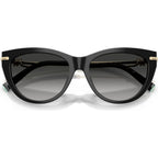 TF4253, Black/Grey Gradient Lenses