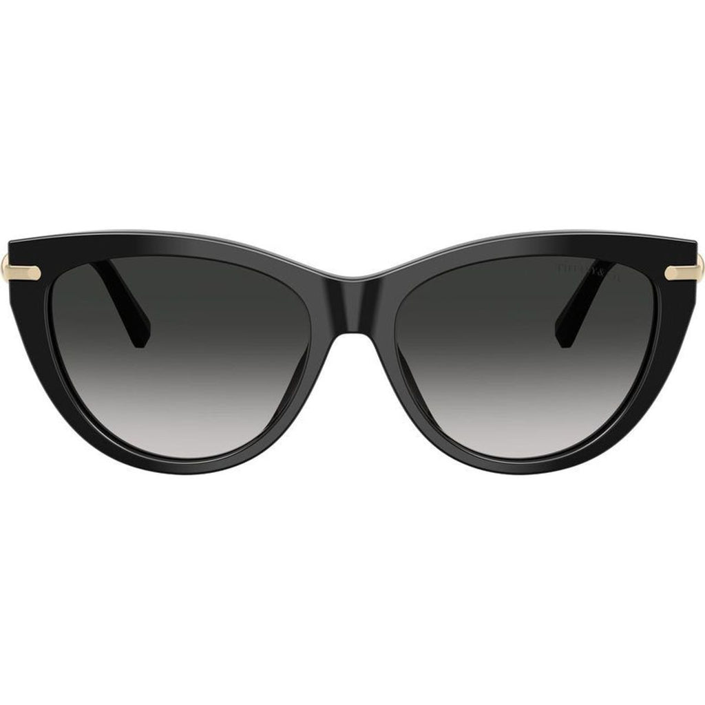 TF4253, Black/Grey Gradient Lenses