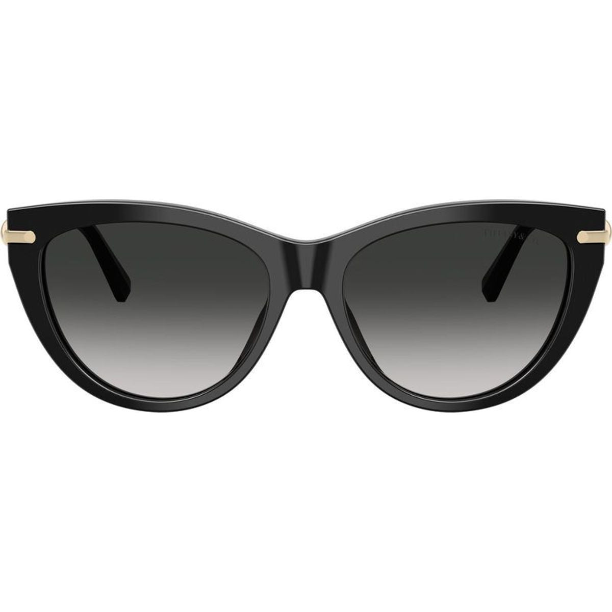 TF4253, Black/Grey Gradient Lenses