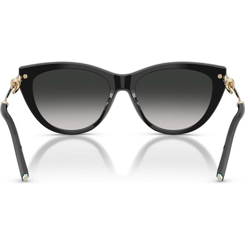 TF4253, Black/Grey Gradient Lenses