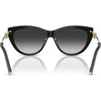 TF4253, Black/Grey Gradient Lenses