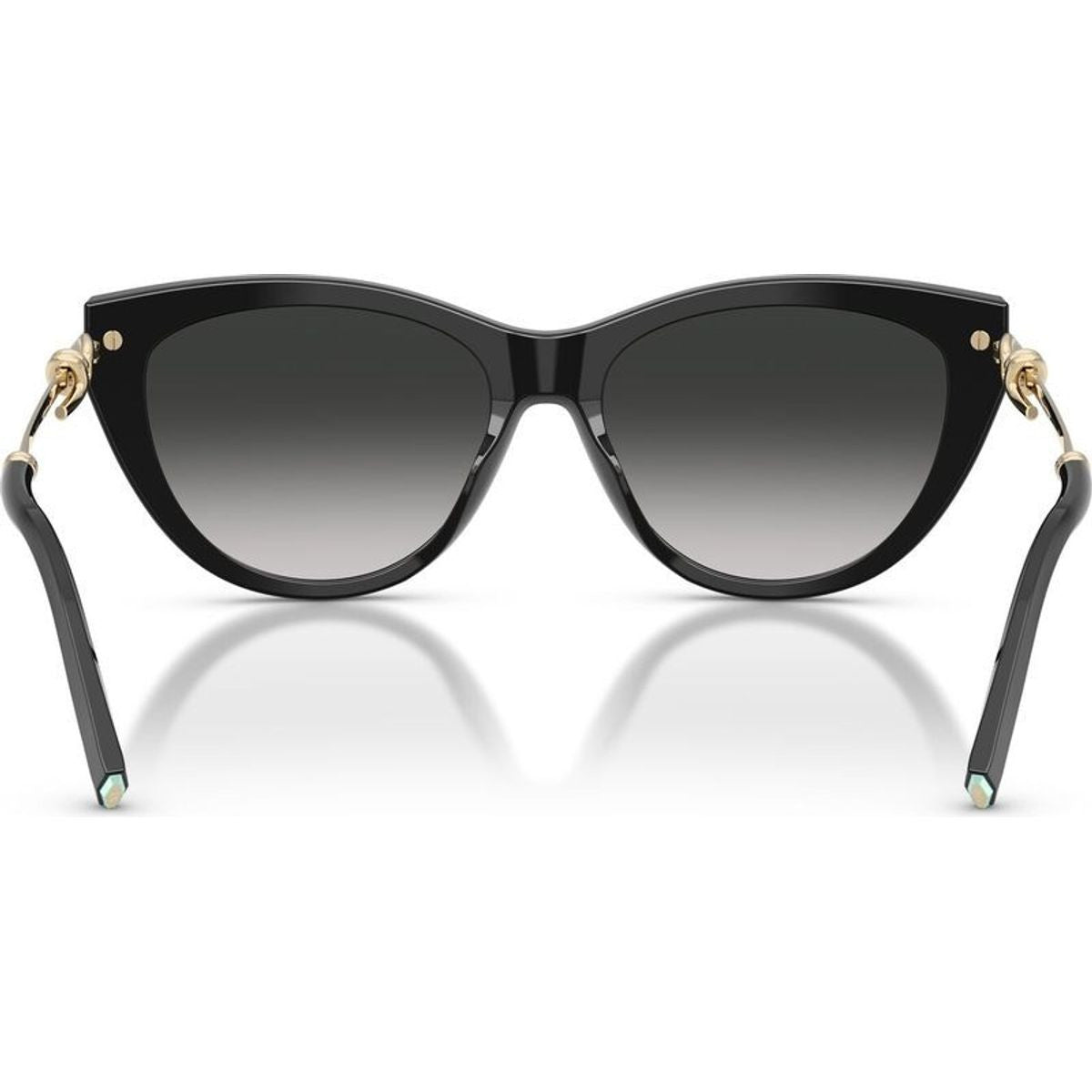 TF4253, Black/Grey Gradient Lenses