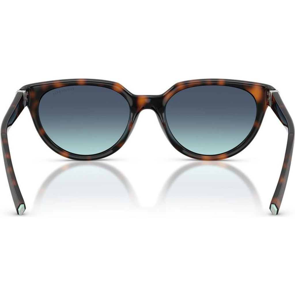 TF4256D, Havana/Azure Blue Gradient Lenses