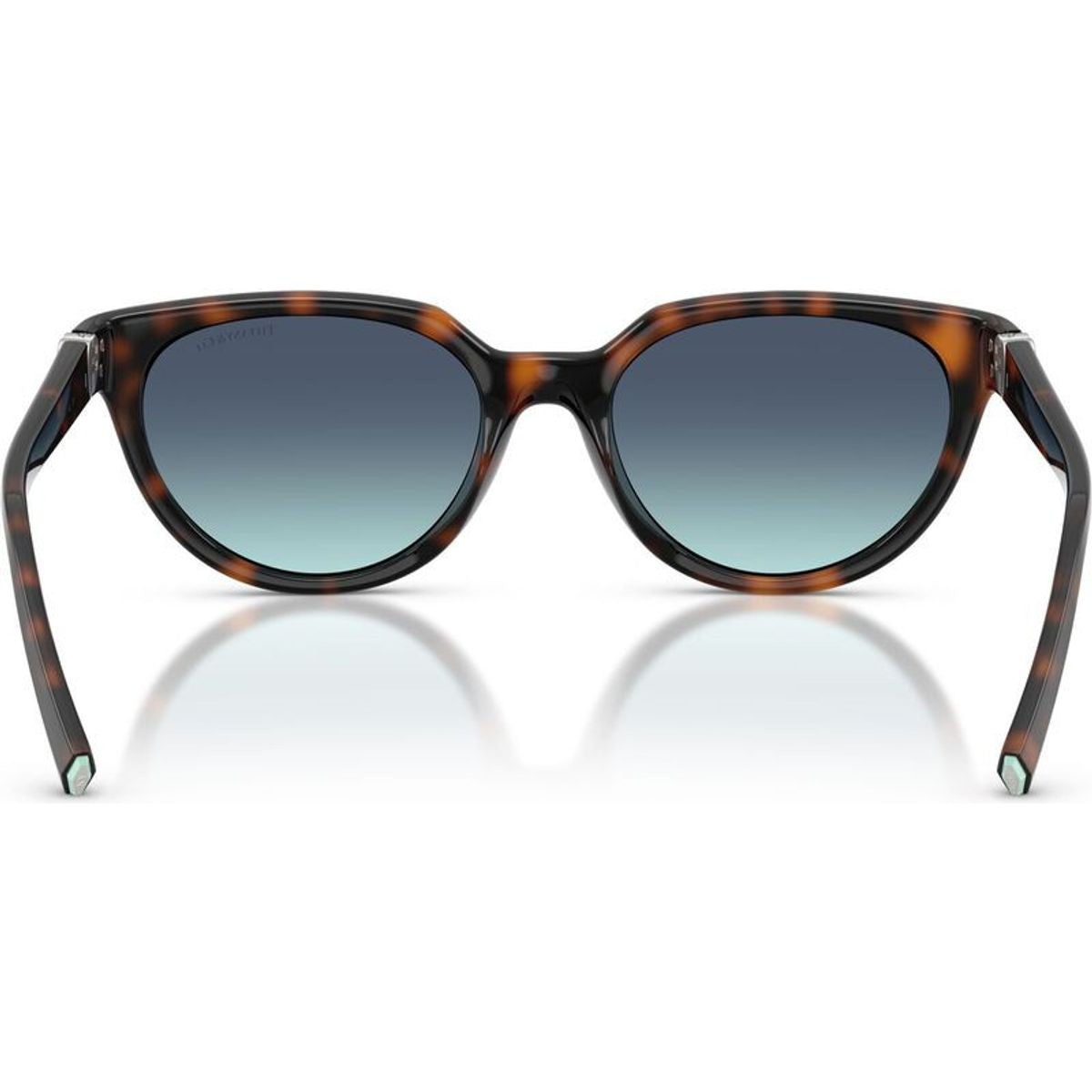 TF4256D, Havana/Azure Blue Gradient Lenses