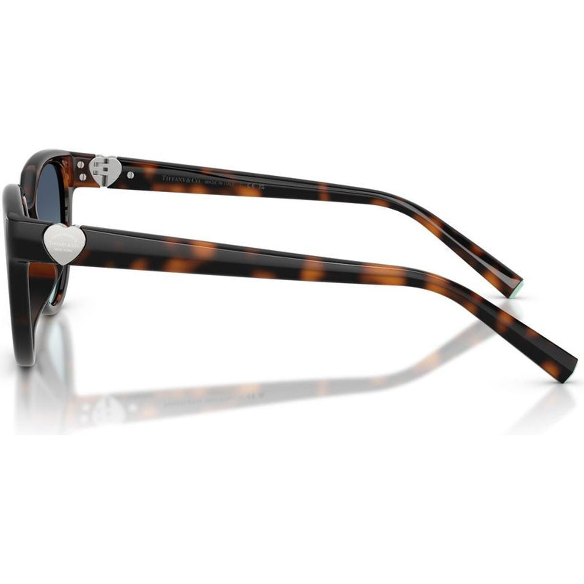 TF4256D, Havana/Azure Blue Gradient Lenses