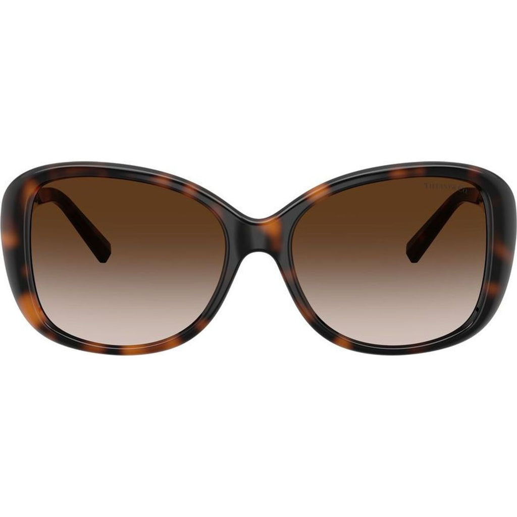 TF4257U, Havana/Brown Gradient Lenses