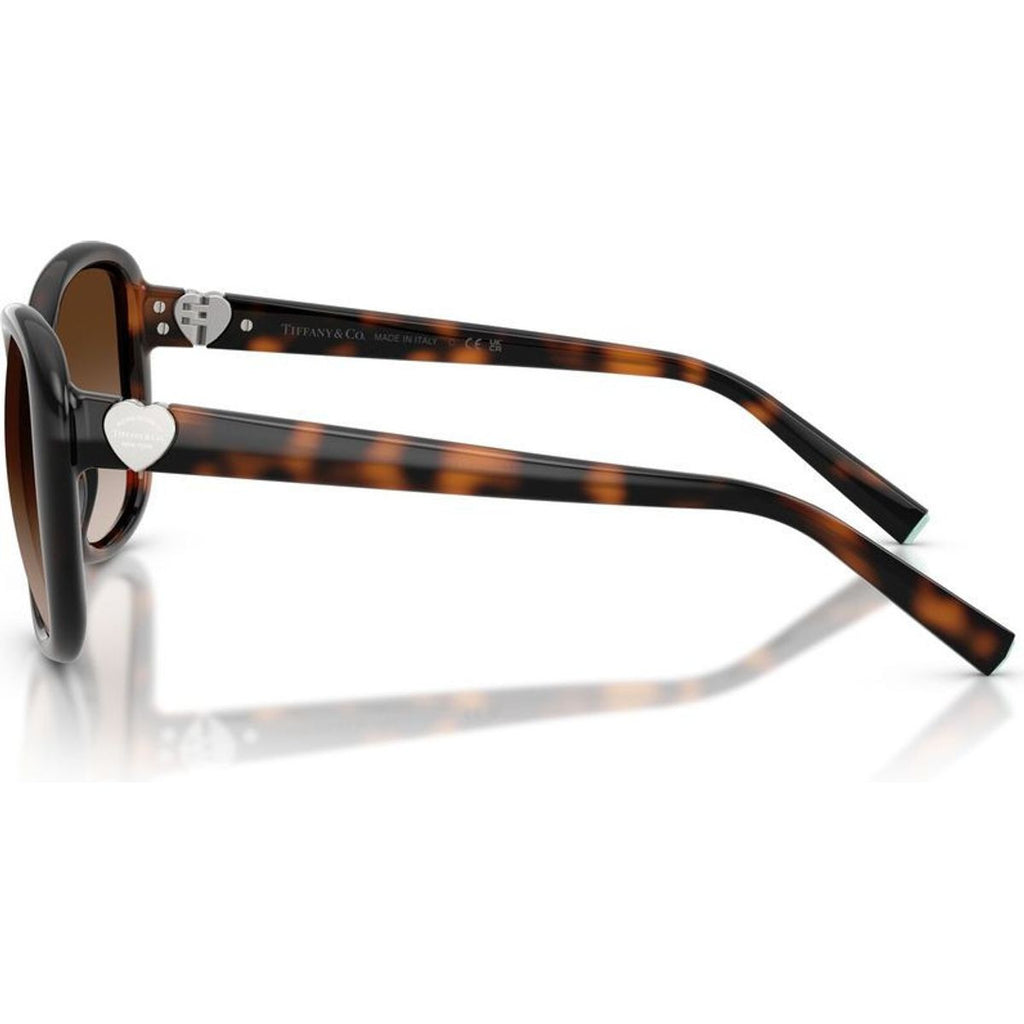 TF4257U, Havana/Brown Gradient Lenses