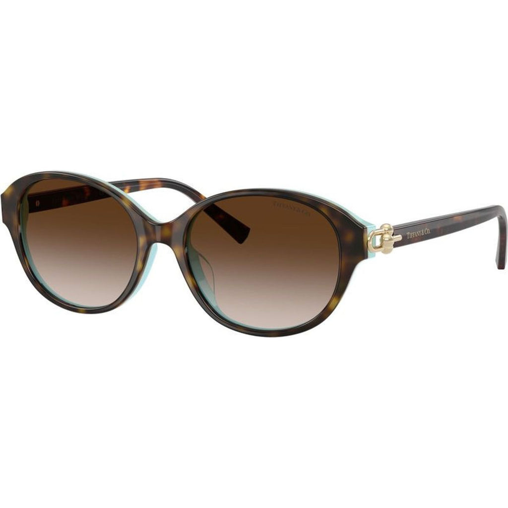 TF4263D, Havana on Tiffany Blue/Brown Gradient Lenses