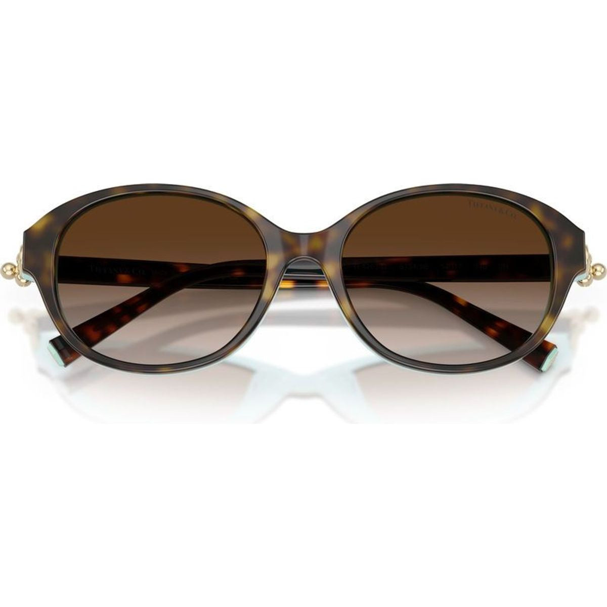 TF4263D, Havana on Tiffany Blue/Brown Gradient Lenses