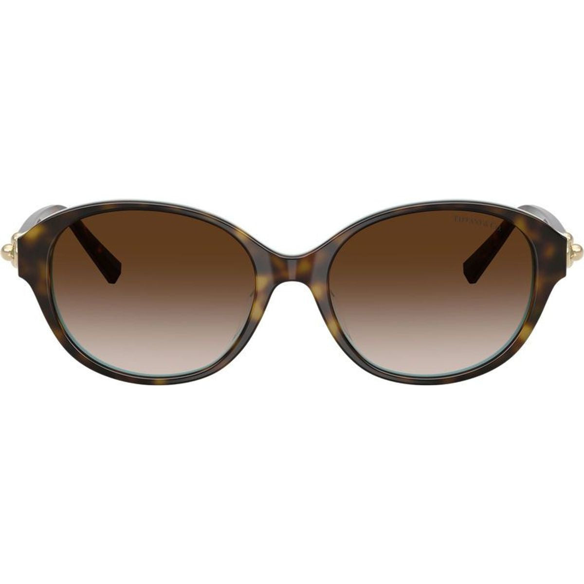 TF4263D, Havana on Tiffany Blue/Brown Gradient Lenses