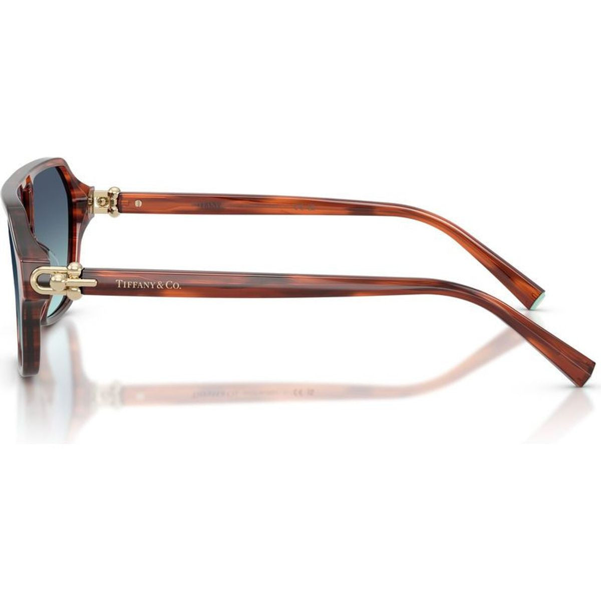 TF4264U, Ruby Striped Havana/Blue Gradient Lenses