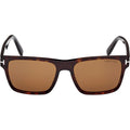 Calder FT1205, Dark Havana/Brown Lenses
