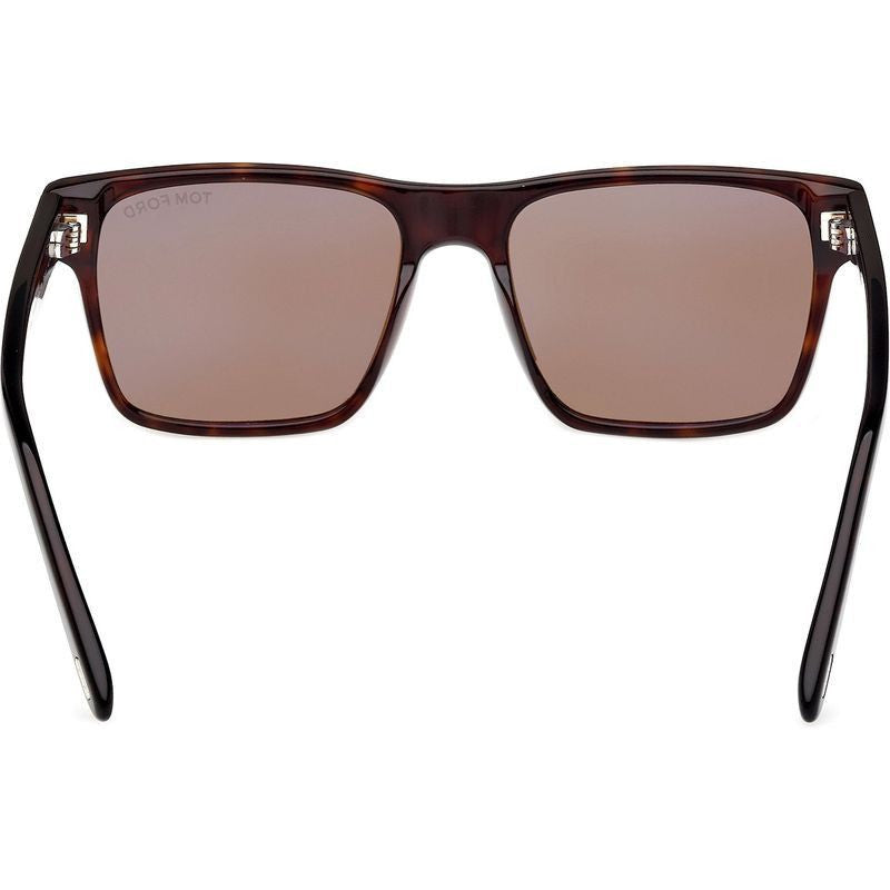 Calder FT1205, Dark Havana/Brown Lenses