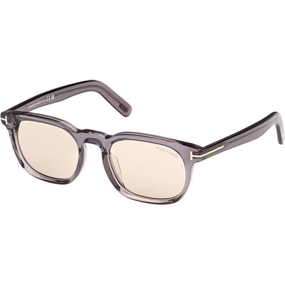 FT1122-D, Shiny Grey/Brown Lenses