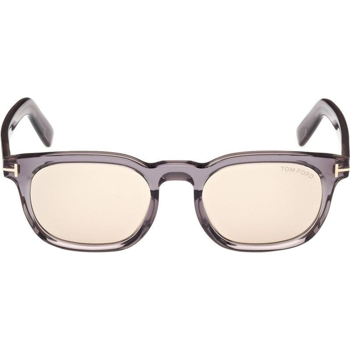 FT1122-D, Shiny Grey/Brown Lenses
