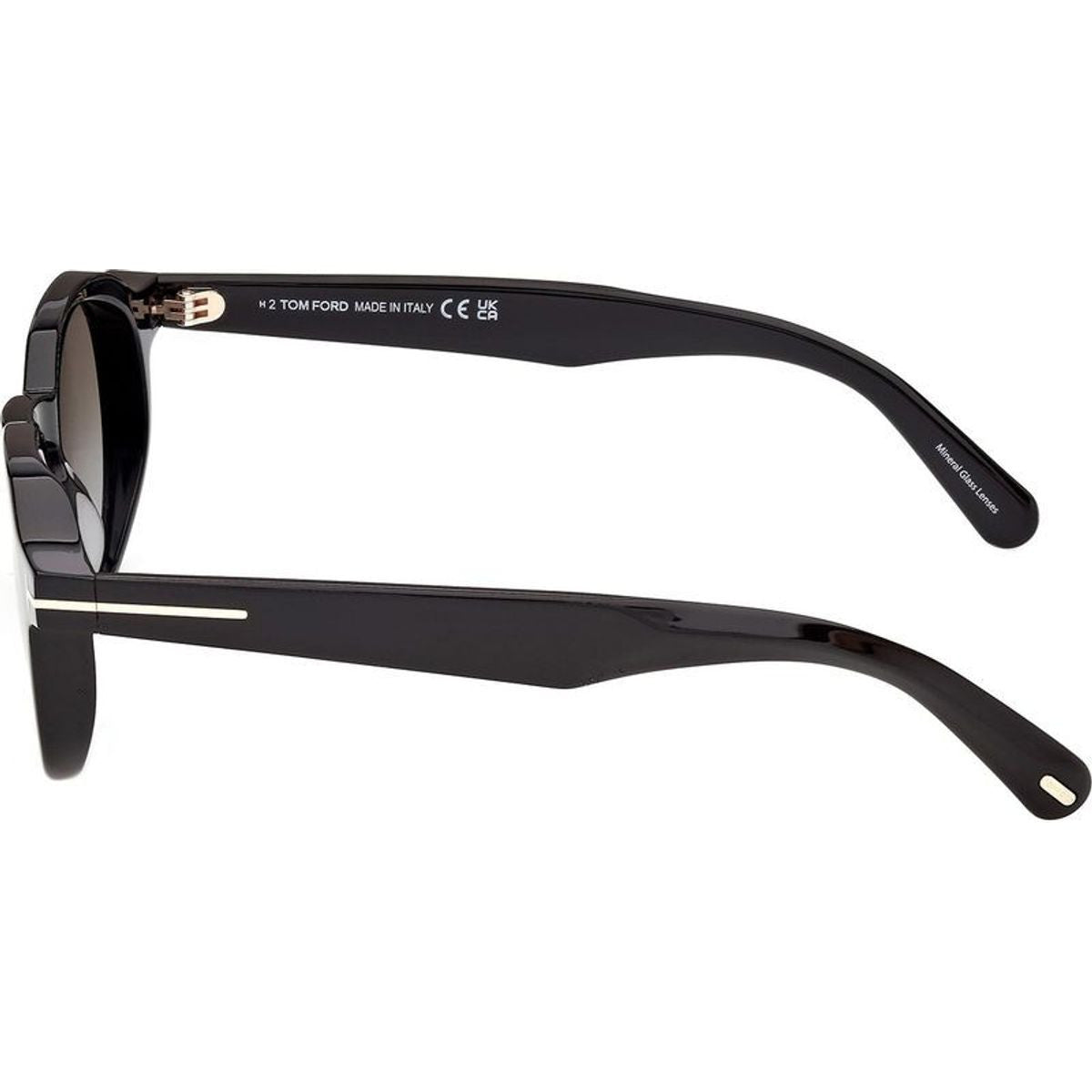 Thomas 02 FT1358, Shiny Black/Roviex Gradient Glass Lenses