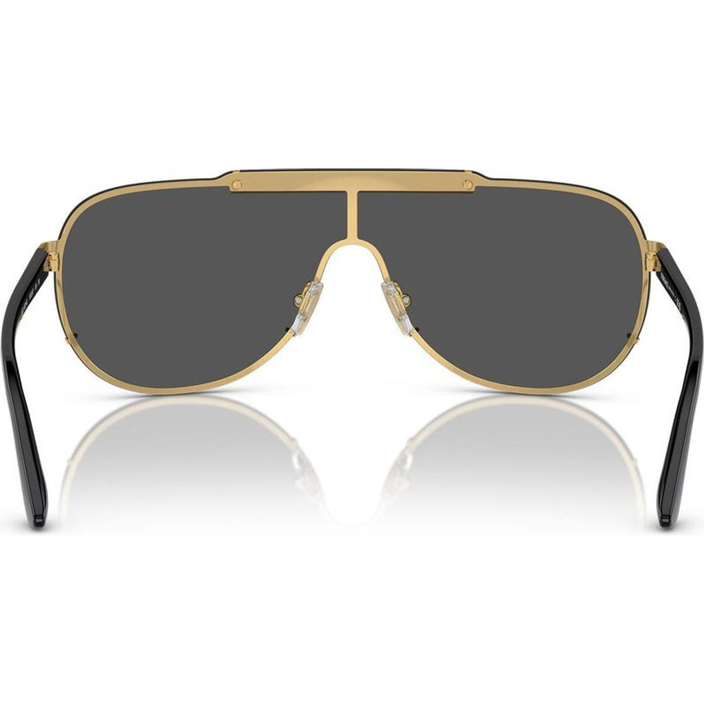 VE2140, Gold/Grey Lenses