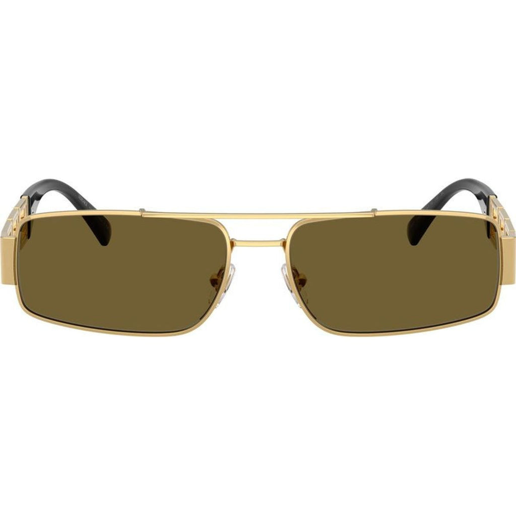 VE2257, Gold/Dark Brown Lenses