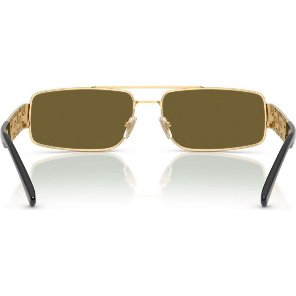 VE2257, Gold/Dark Brown Lenses
