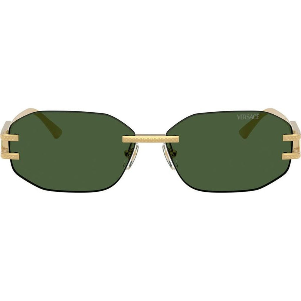 VE2274, Gold/Dark Green Lenses