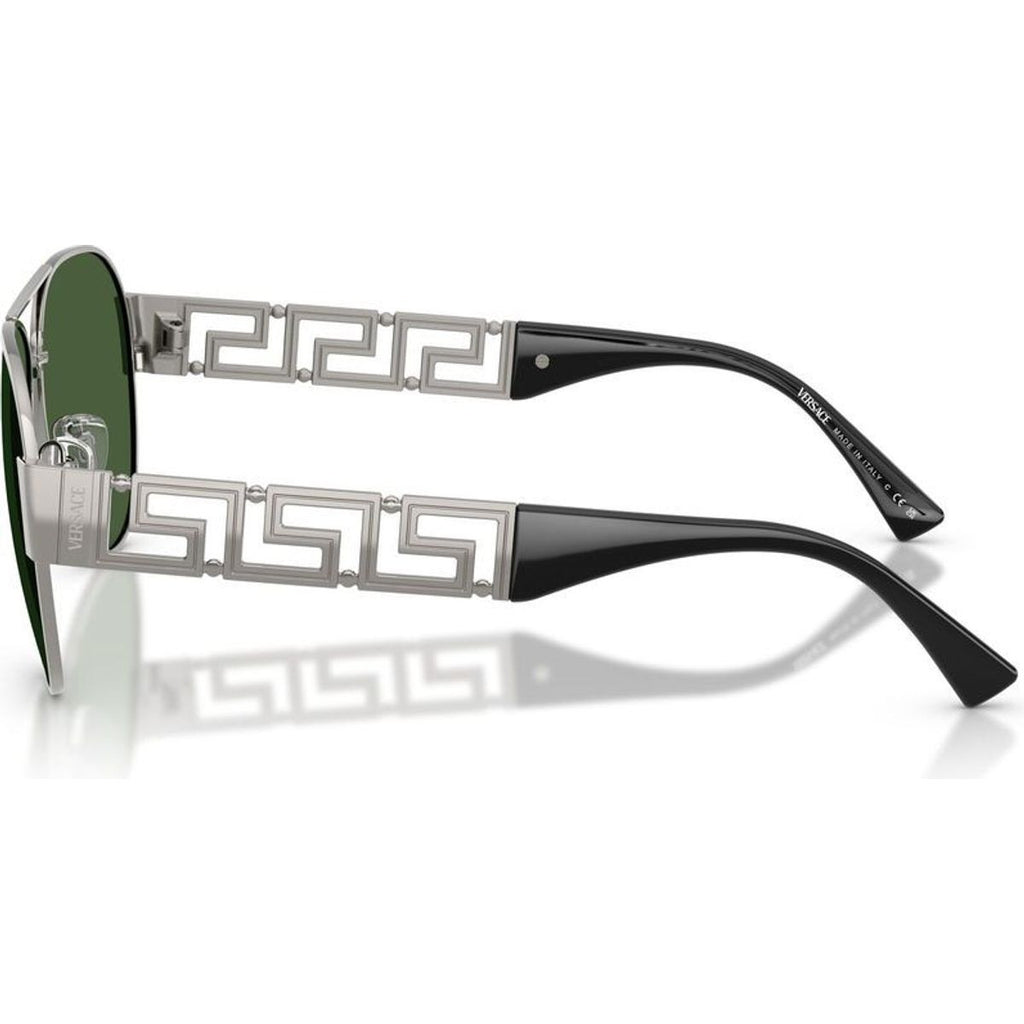 VE2289, Gunmetal/Dark Green Lenses