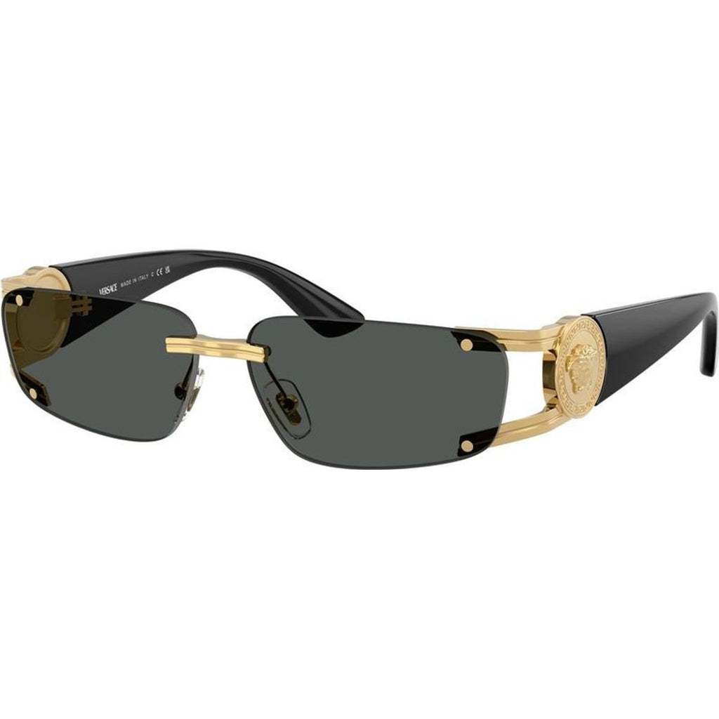 VE2291, Gold/Dark Grey Lenses