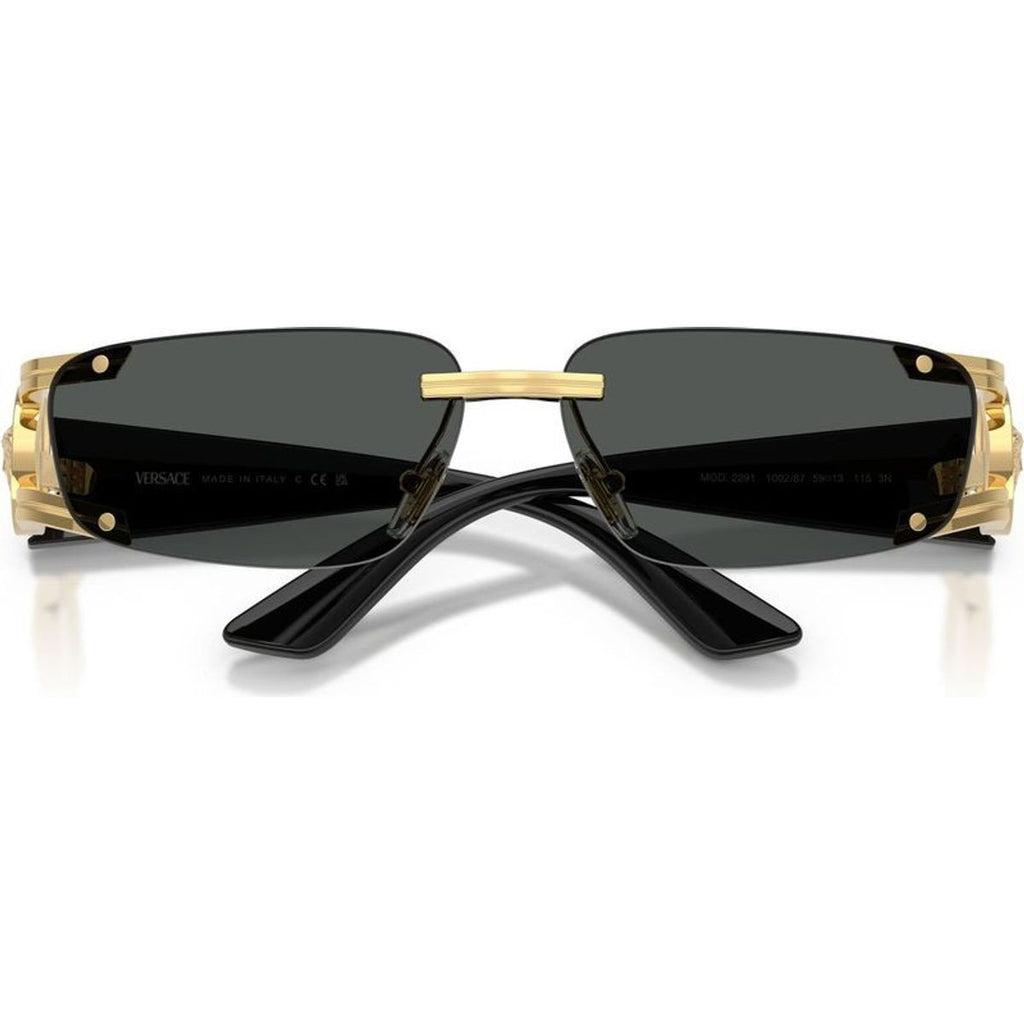 VE2291, Gold/Dark Grey Lenses