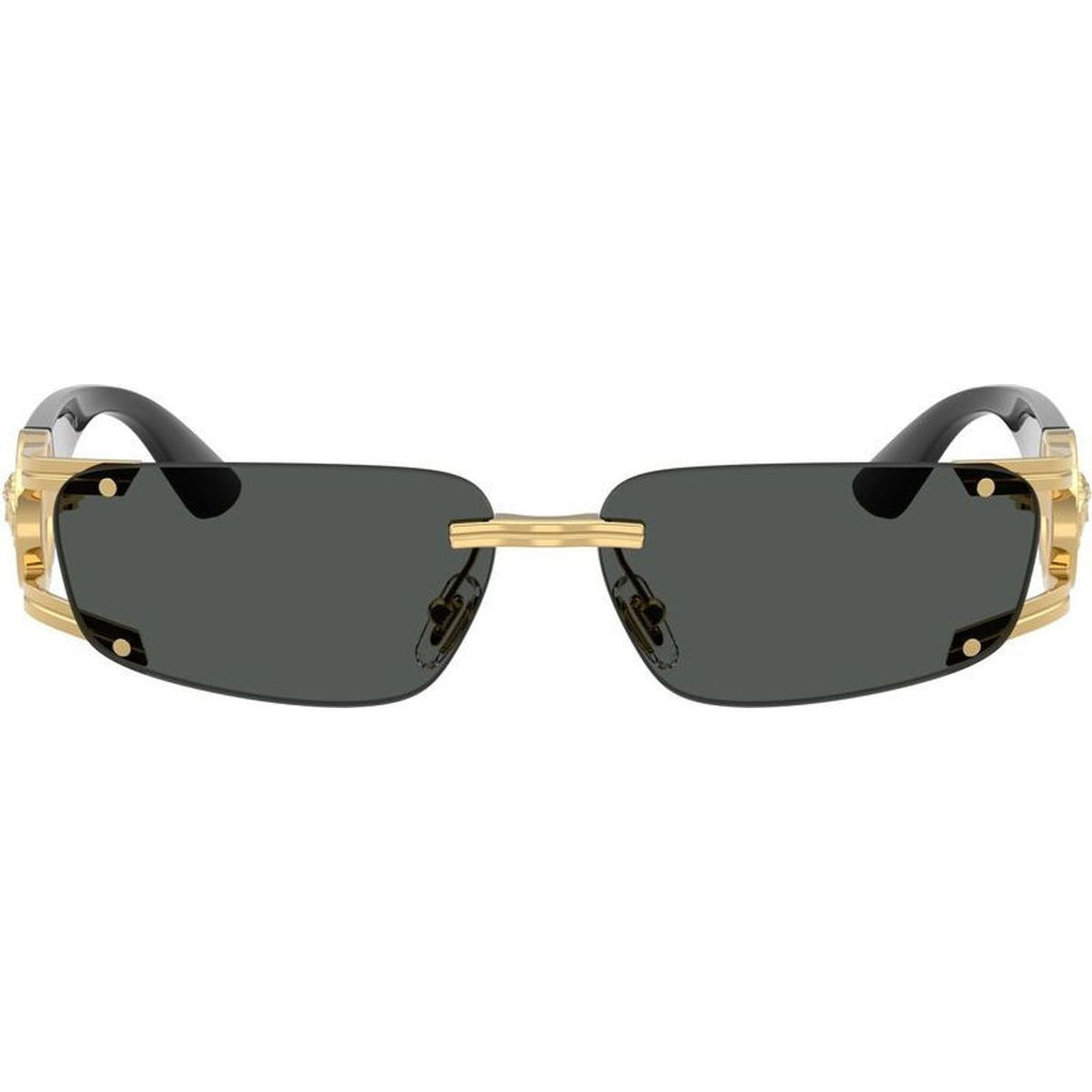 VE2291, Gold/Dark Grey Lenses