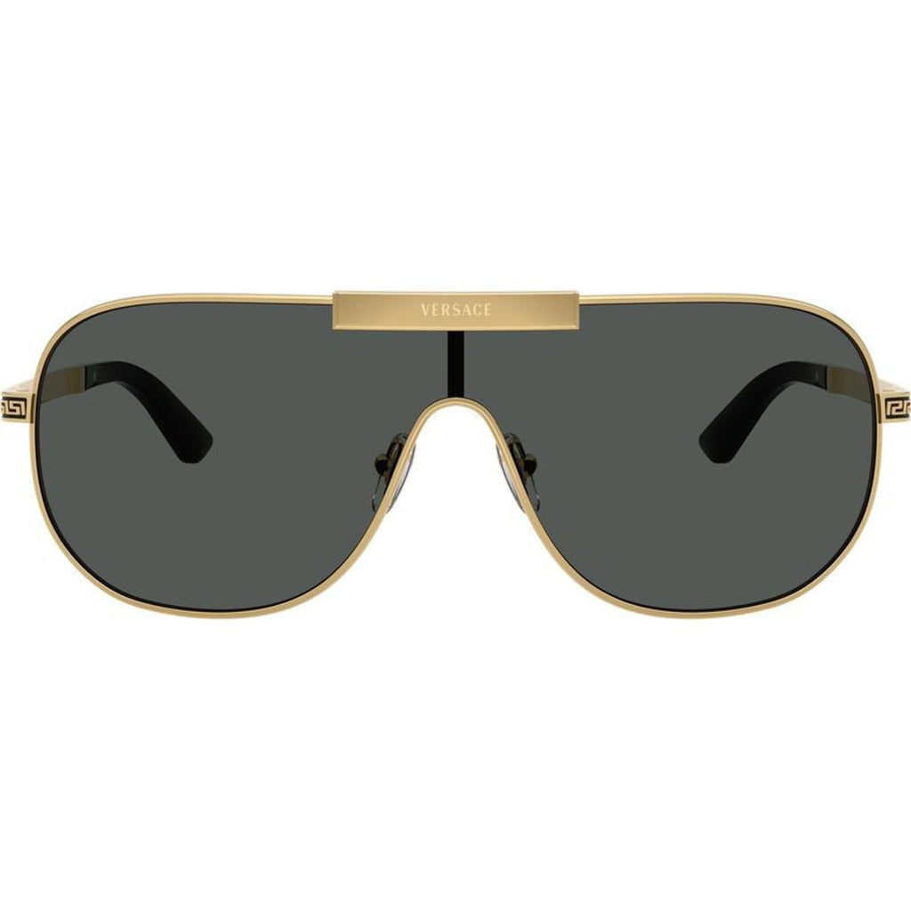 VE2293, Gold/Dark Grey Lenses