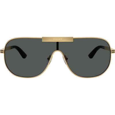 VE2293, Gold/Dark Grey Lenses