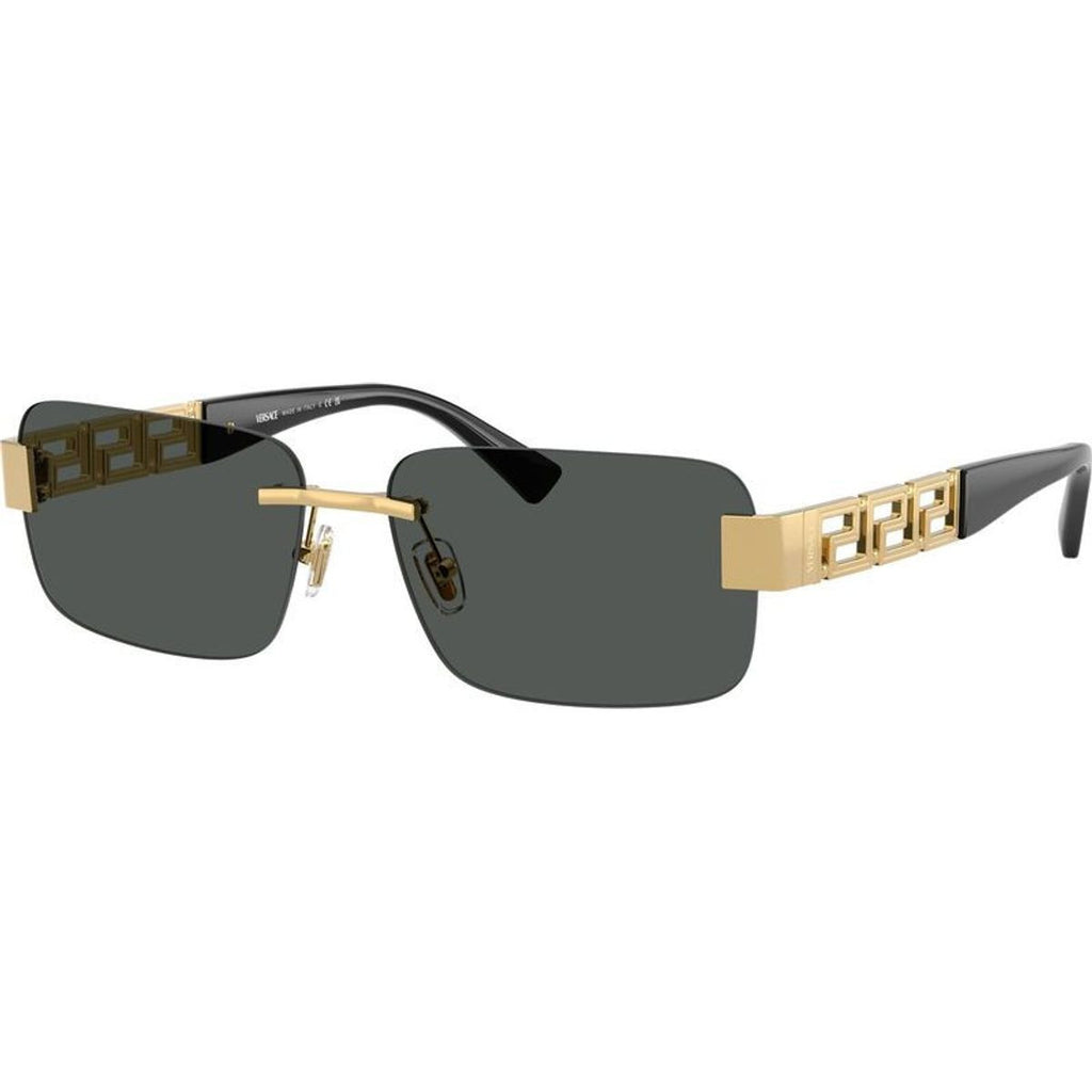 VE2298, Gold/Dark Grey Lenses